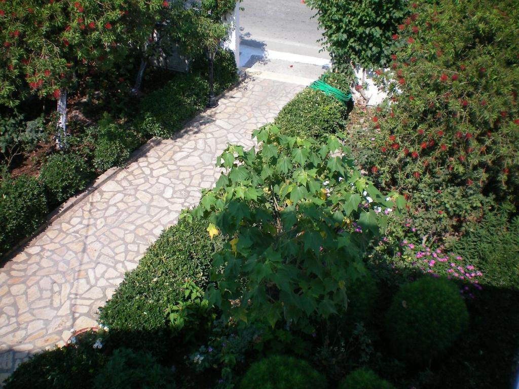 Olga Apartments Agios Georgios  Room photo